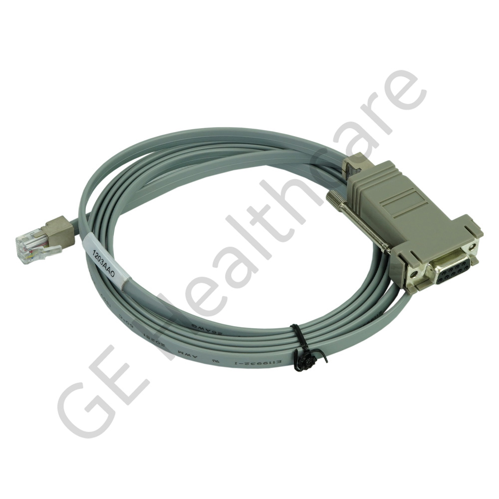 Direct 120 Series to FM I/C Cable