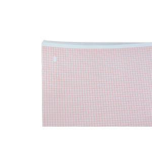 Paper A Red Grid 200mm Wide Z-Fold Hole Queue Paper A Red Grid 200mm Wide Z-Fold Hole Queue
